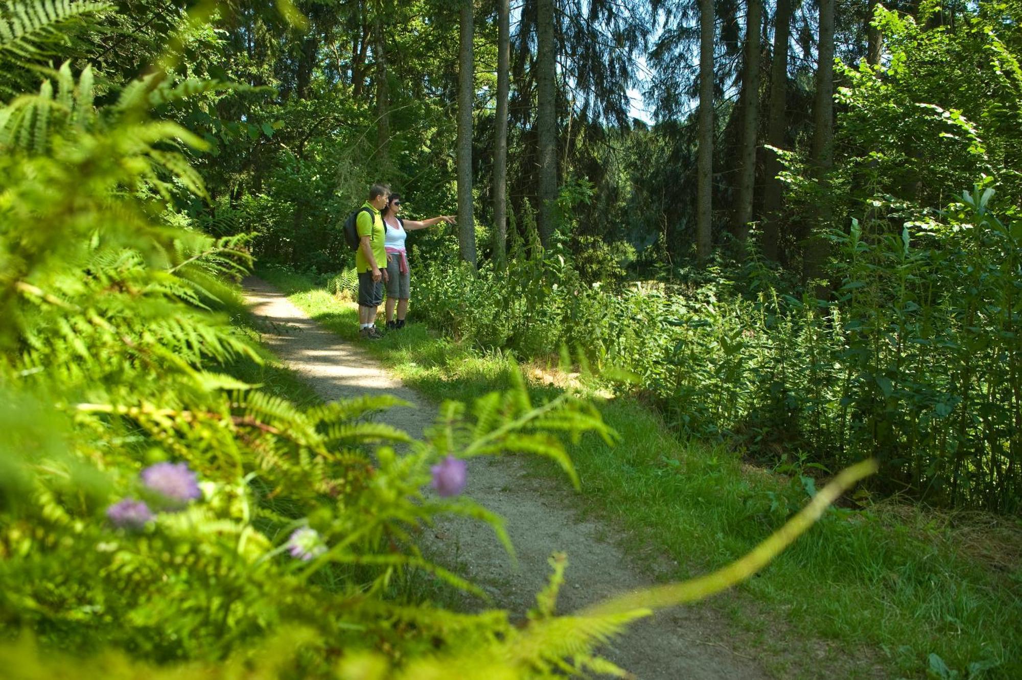 Pension Bergstub'N Saldenburg 外观 照片